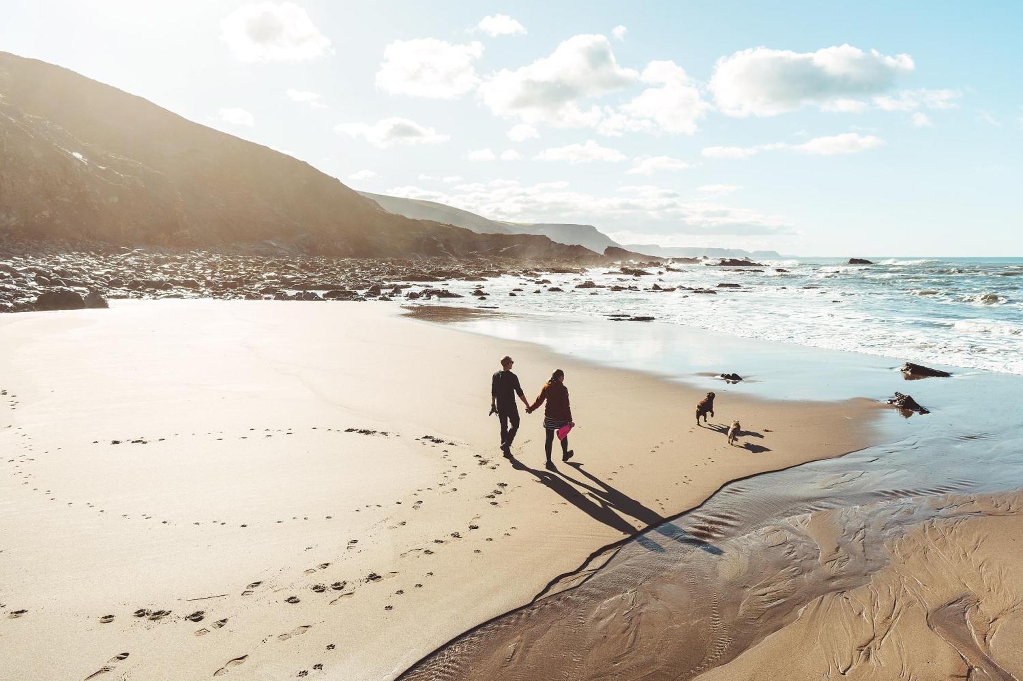 Trevigue Farm Pensionat Crackington Haven Exteriör bild